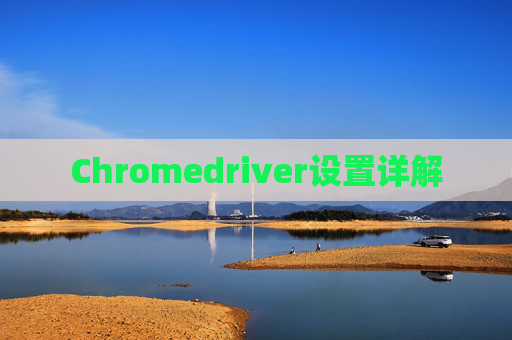 Chromedriver设置详解